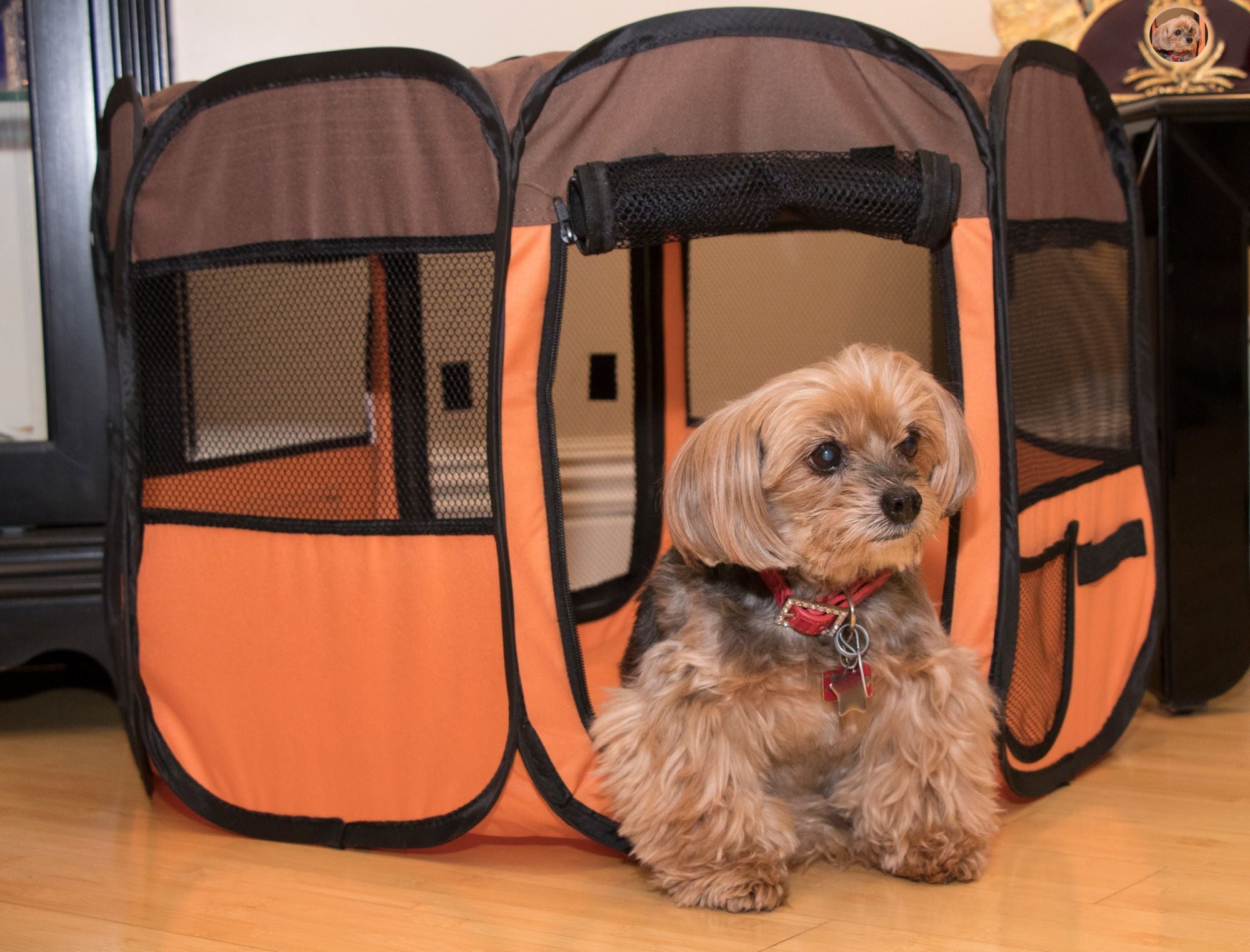 All-Terrain' Lightweight Easy Folding Wire-Framed Collapsible Travel Pet Playpen - Mountain Lakes Mall