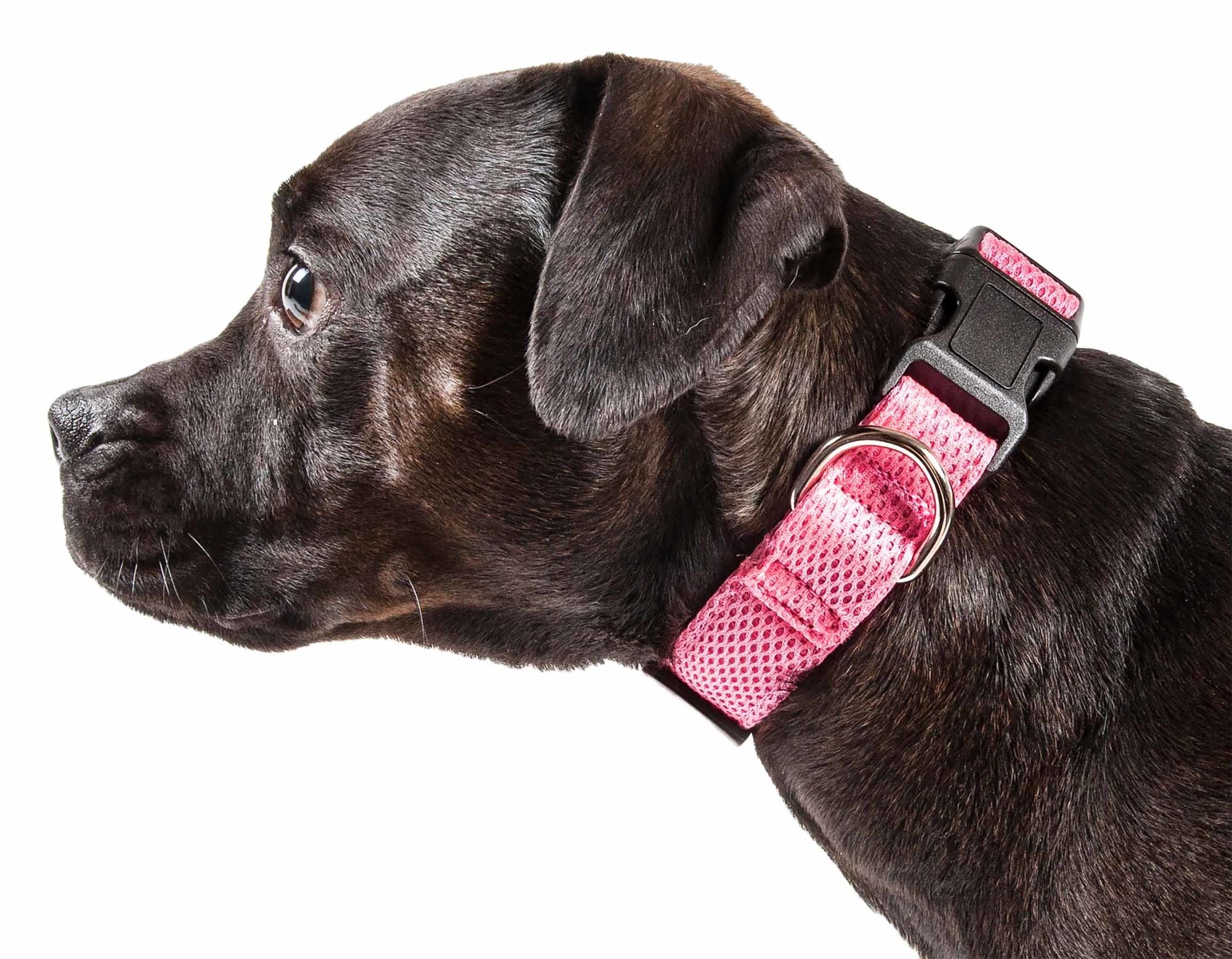 Pet Life 'Aero Mesh' 360 Degree Dual Sided Comfortable And Breathable Adjustable Mesh Dog Collar