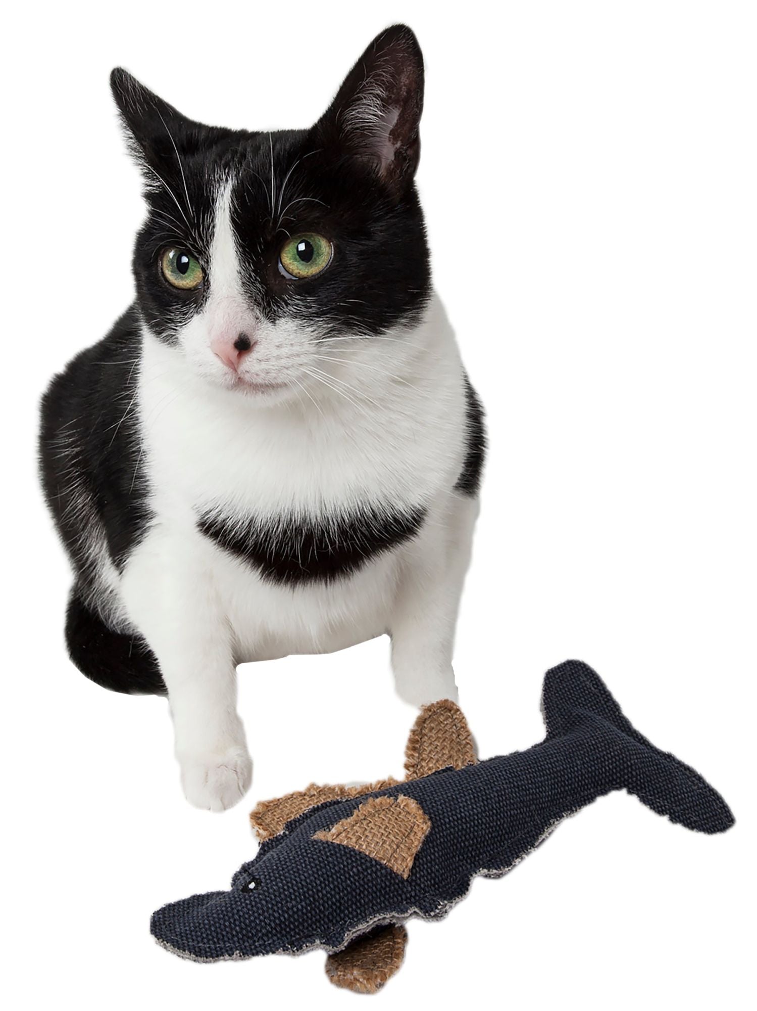 Pet Life Durable Fish Plush Kitty Catnip Cat Toy - Mountain Lakes Mall