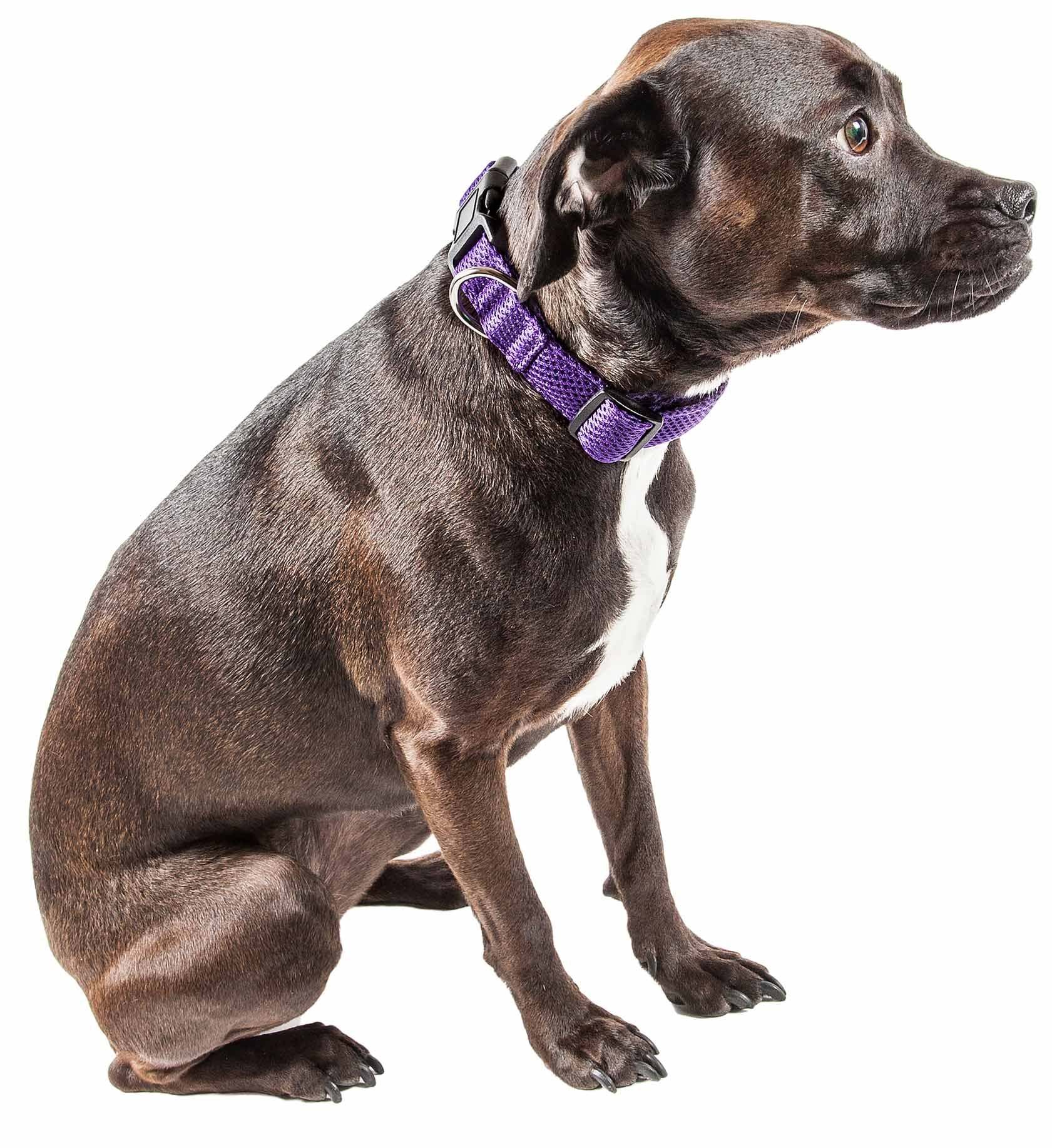 Pet Life 'Aero Mesh' 360 Degree Dual Sided Comfortable And Breathable Adjustable Mesh Dog Collar