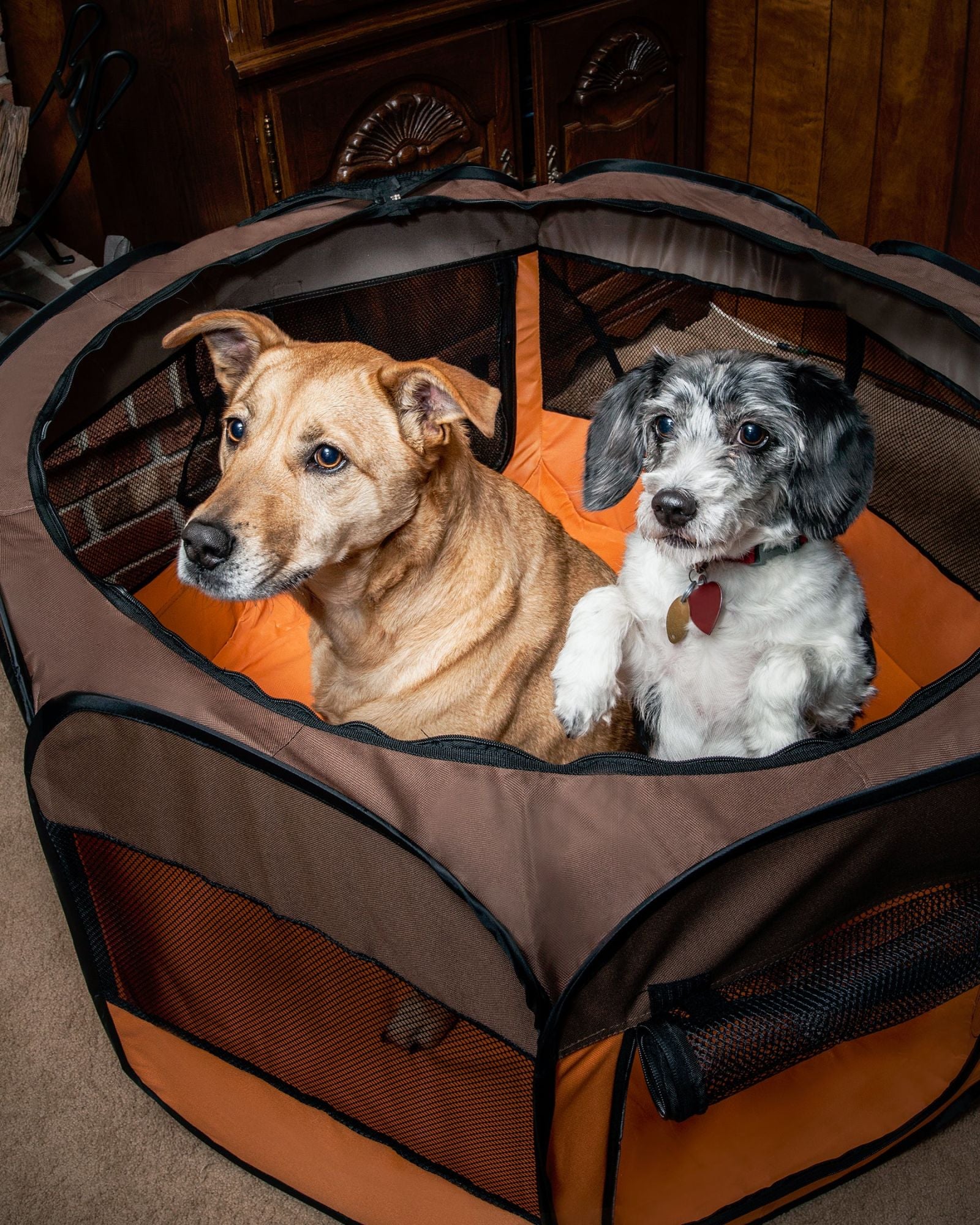 All-Terrain' Lightweight Easy Folding Wire-Framed Collapsible Travel Pet Playpen - Mountain Lakes Mall