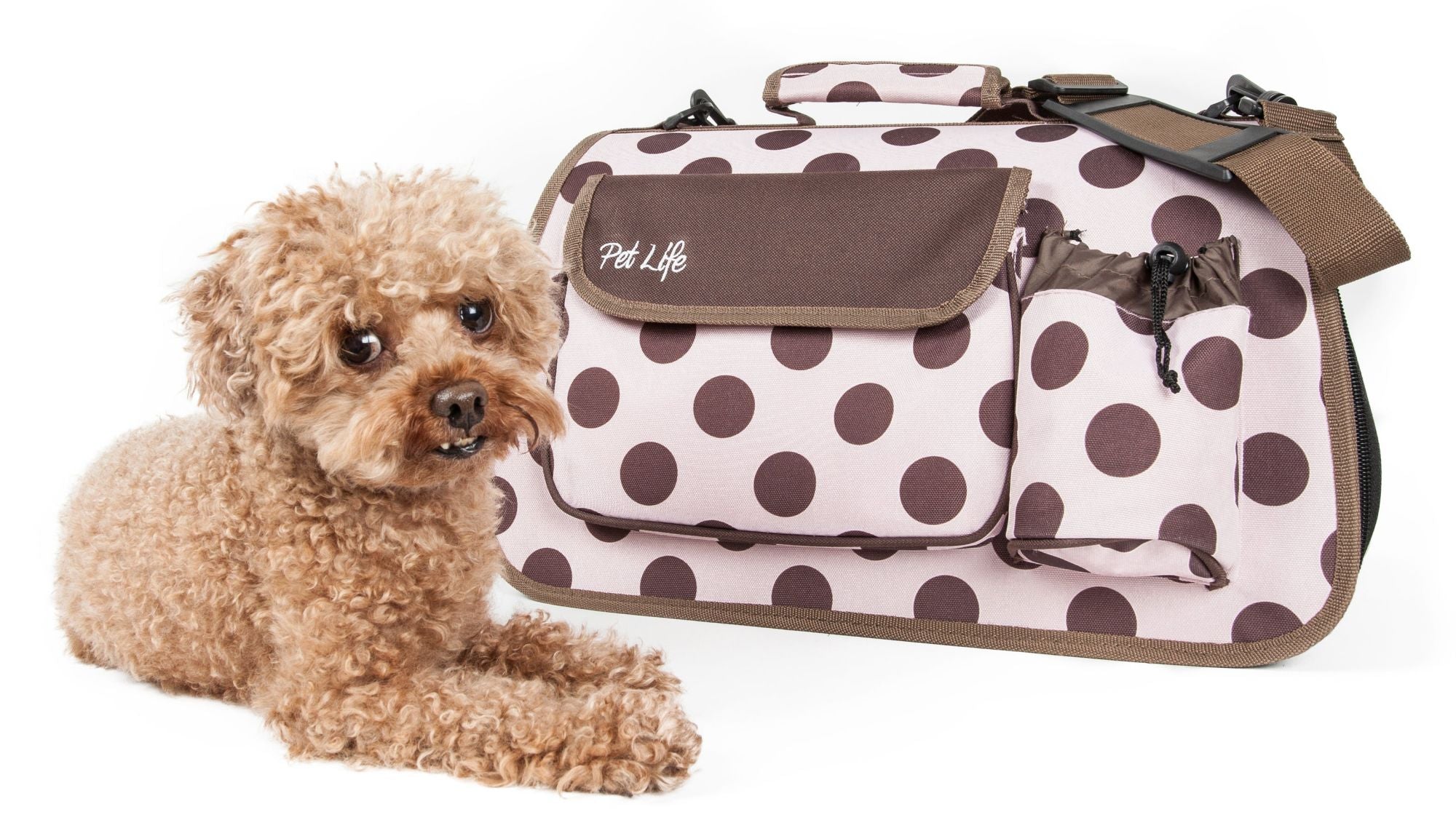 Airline Approved Folding Zippered Casual Pet Carrier - Mountain Lakes Mall