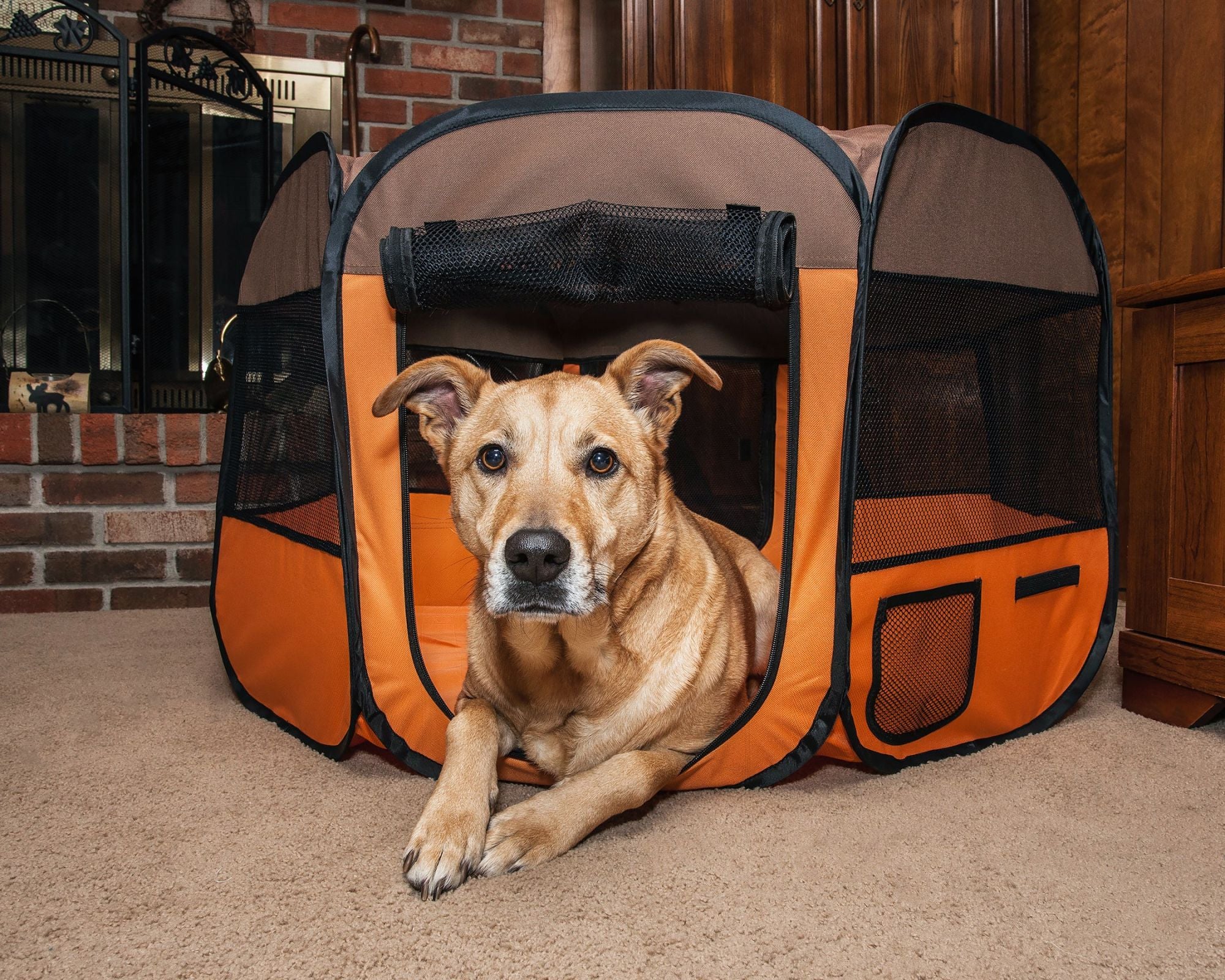 All-Terrain' Lightweight Easy Folding Wire-Framed Collapsible Travel Pet Playpen - Mountain Lakes Mall