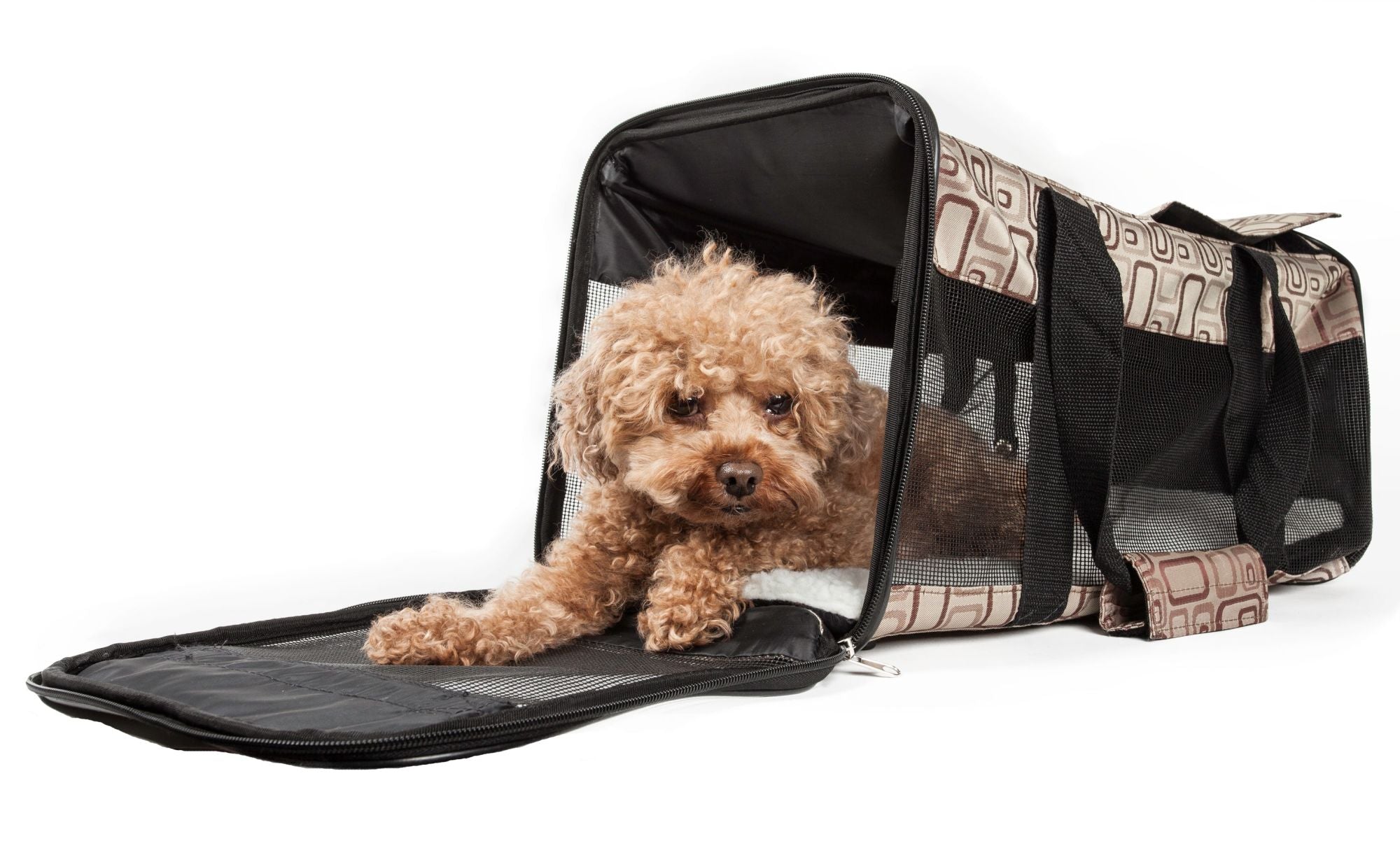 Airline Approved 'Flightmax' Collapsible Pet Carrier - Mountain Lakes Mall