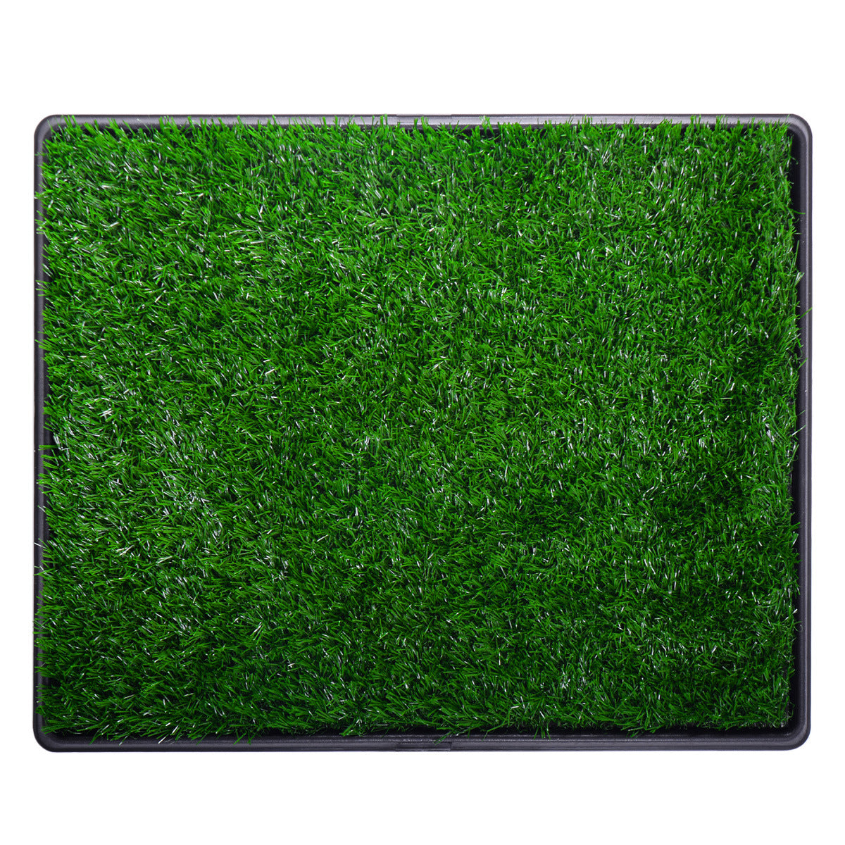 Artificial Dog Grass Mat, Indoor Potty Training, Pee Pad for Pet - Mountain Lakes Mall