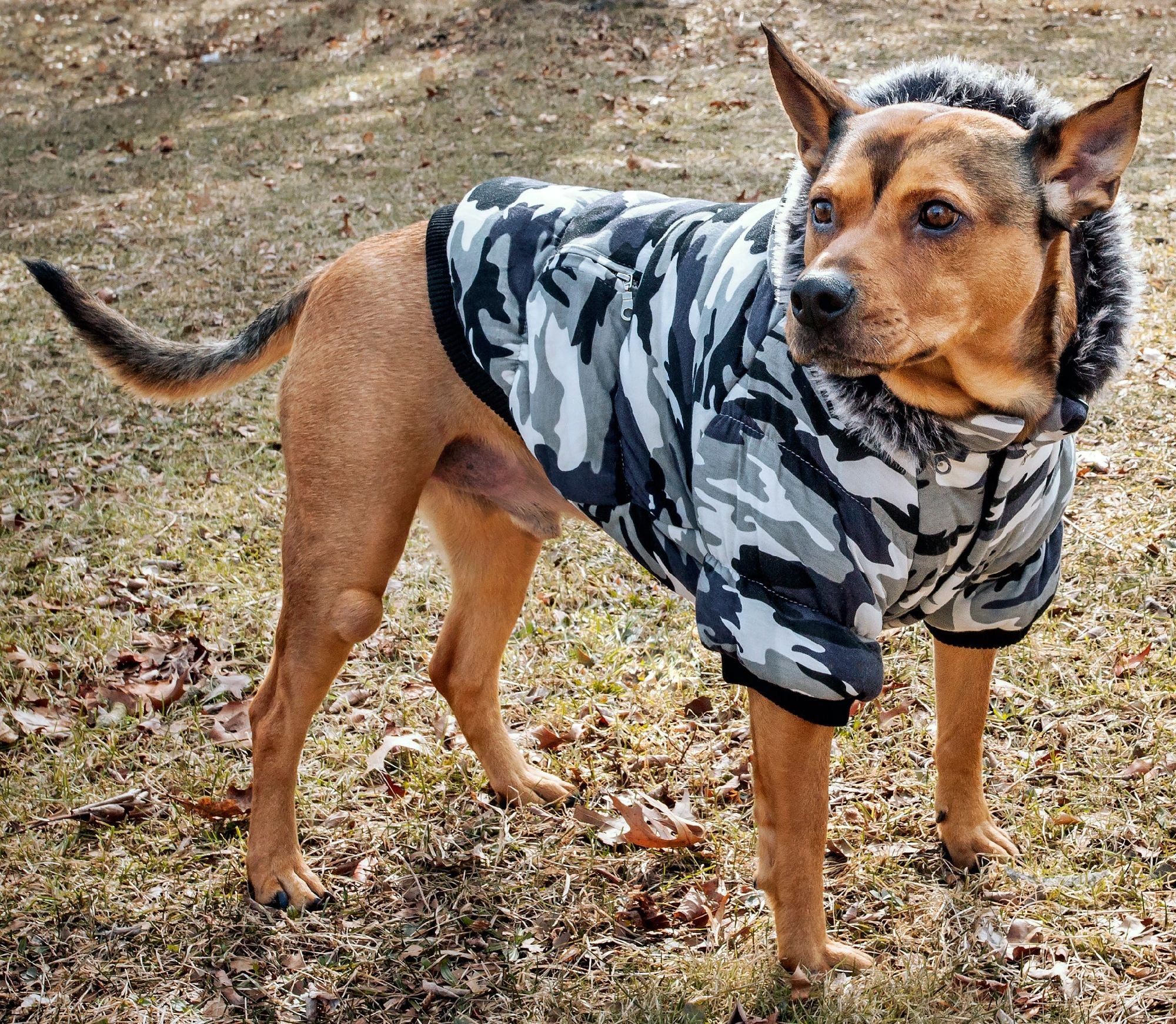 Fashion Pet Parka Coat - Mountain Lakes Mall